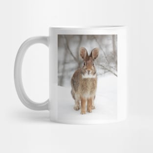 Eastern Cottontail Rabbit Mug